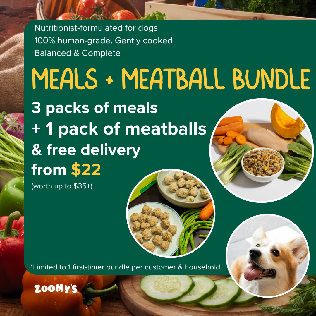 Dog Meals + Meatballs Bundle