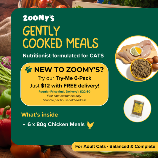 Cats Try-Me 6-Pack