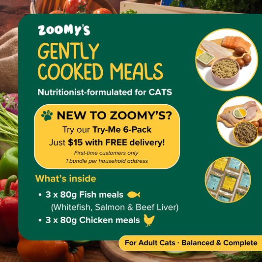 Cats Try-Me 6-Pack