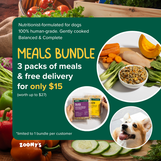 Dog Meals Bundle