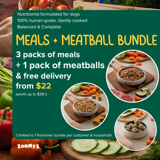 Dog Meals + Meatballs Bundle
