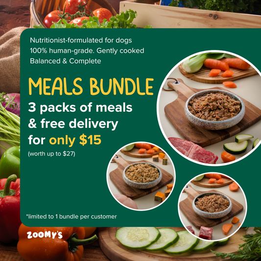Dog Meals Bundle
